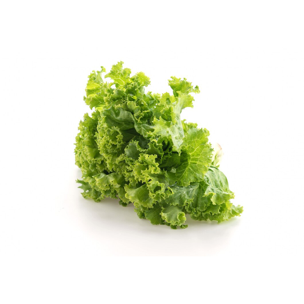 کاهو رسمی Fresh مقدار 1 عدد